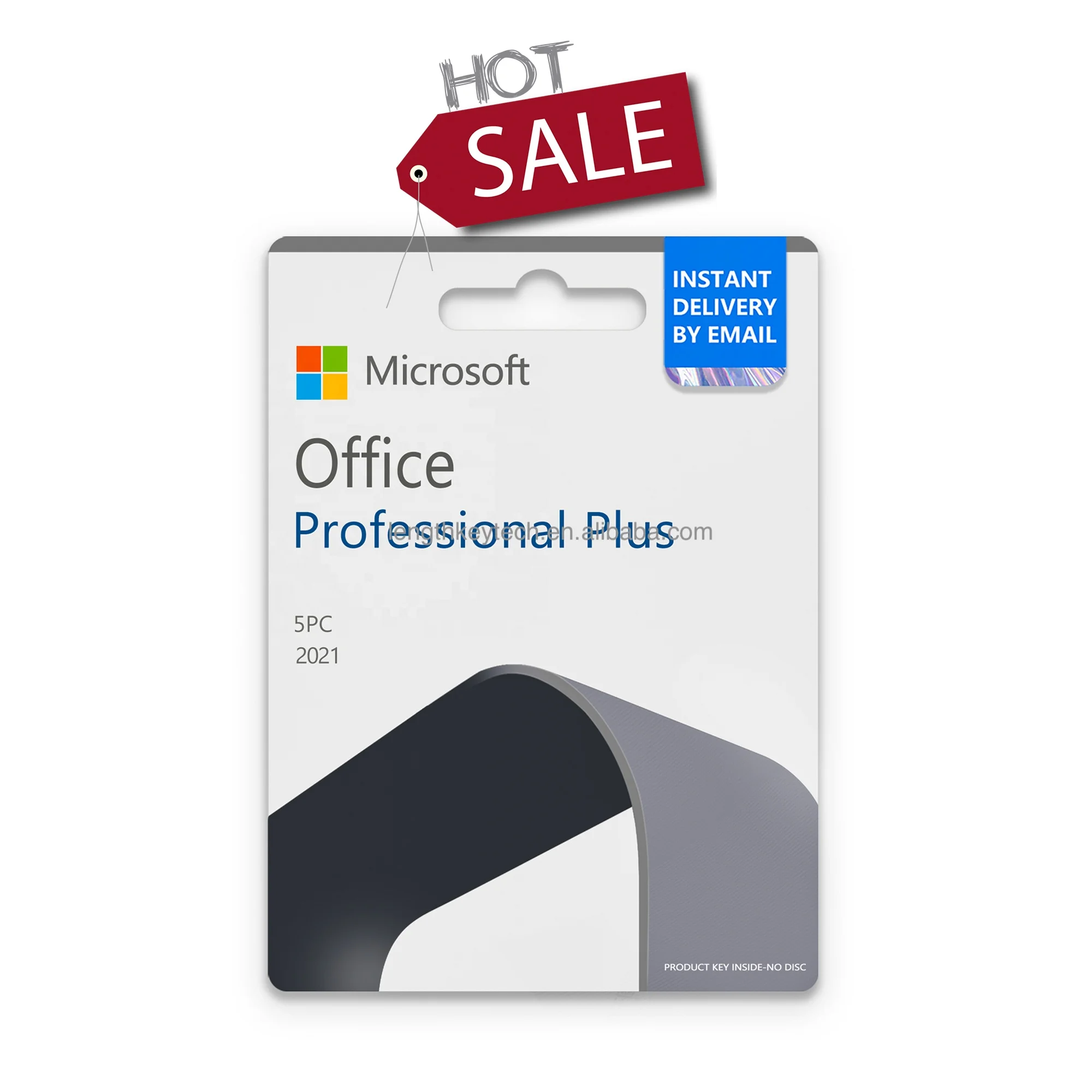 Онлайн-служба доставки электронной почты 24/7 Professional Plus (5 шт.), руководство по установке в Интернете, срок службы 2021