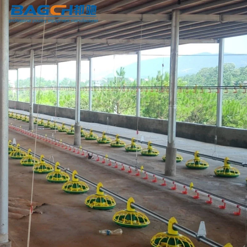 Broiler Poultry Farming Equipment H type Ground Automatic Broiler Chicken Farming Equipment