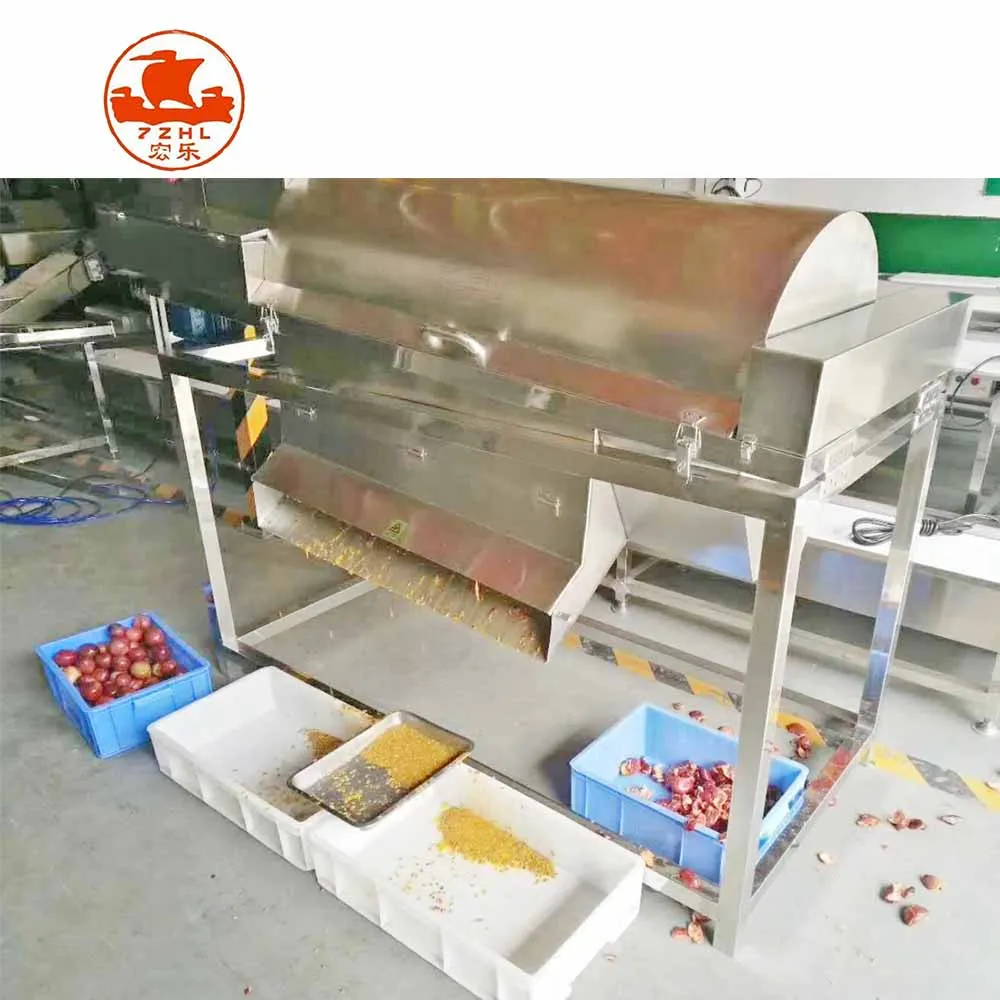 Full Automatic Industrial Pomegranate Passion Fruit Juice Making Machine Seed Separator Juicer Processing