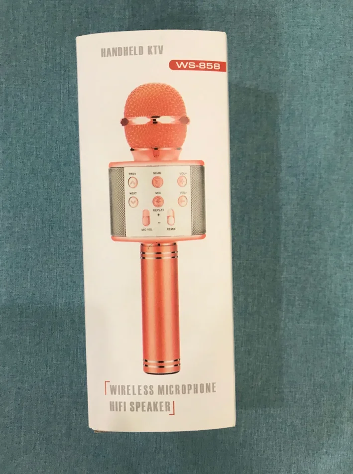 Karaoke microphone