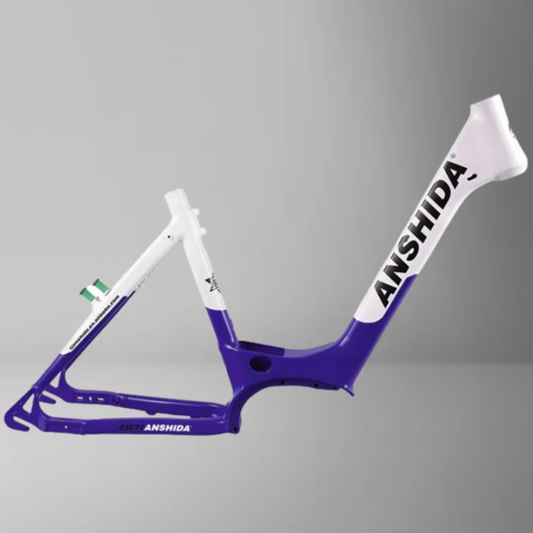 Cheap Factory Price Customized/OEM/ODM Variable Speed Electric Bike Frame for Man and Woman