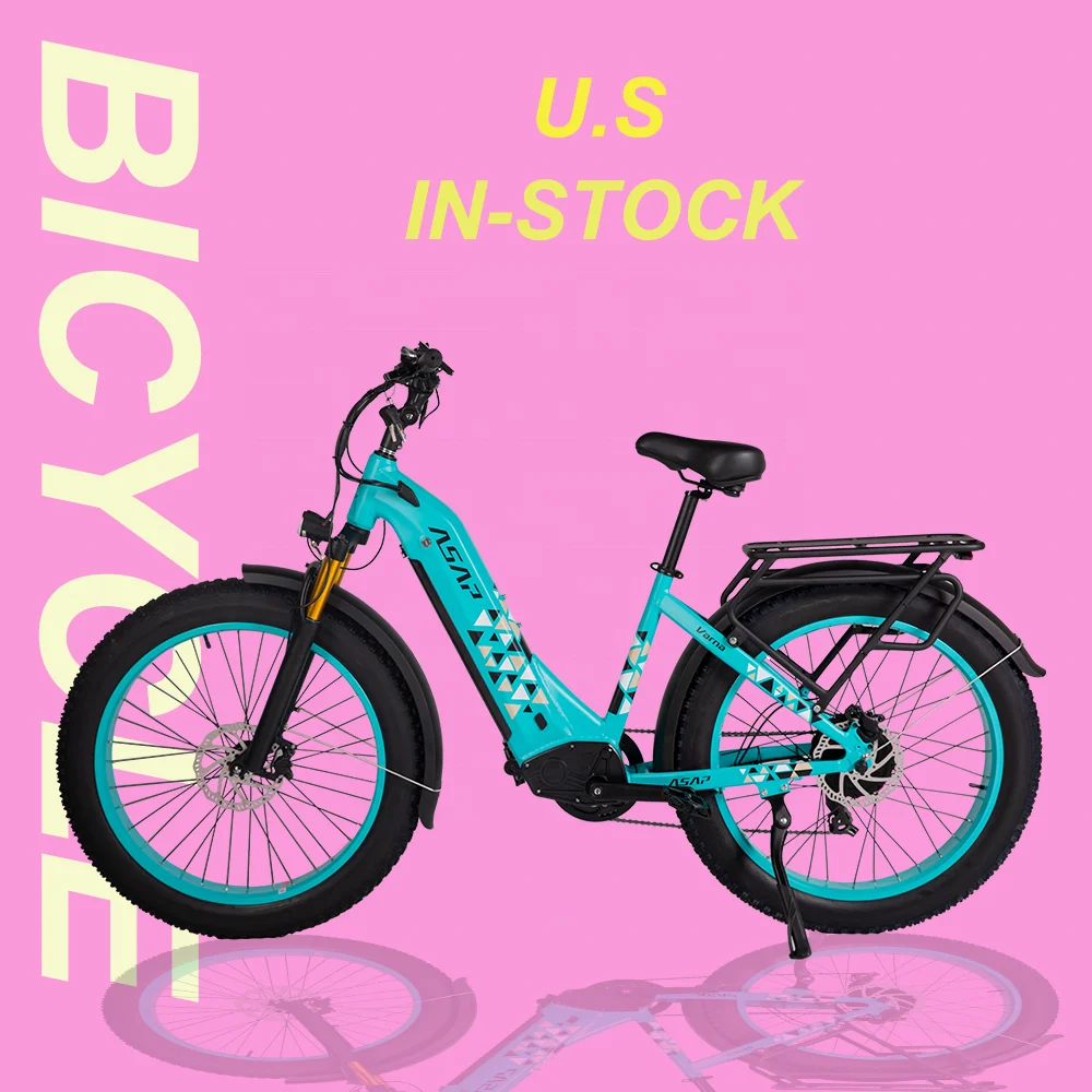 Equipped 750 Watt Motor Super E-bike Using 48V Lithium Battery Powered Chinese Make Electric Bike