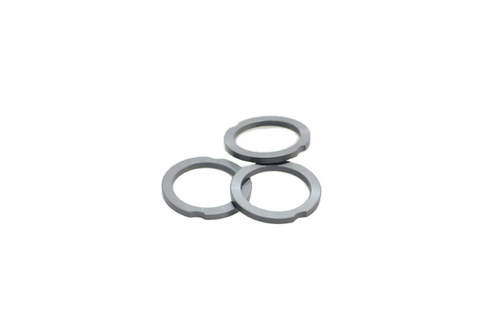 Champ Ready to Ship RTS High-Temperature Mechanical Seal For Water Pump Standardized SSIC Mechanical Seal Oil Seal