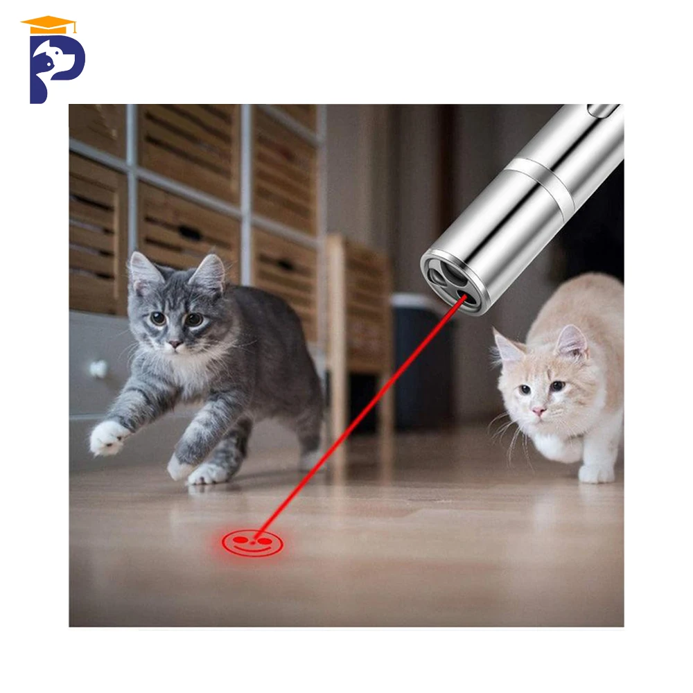 2023 Petfessor E-commercial Hot sales USB Rechargeable Laser Pointer Pen for cat