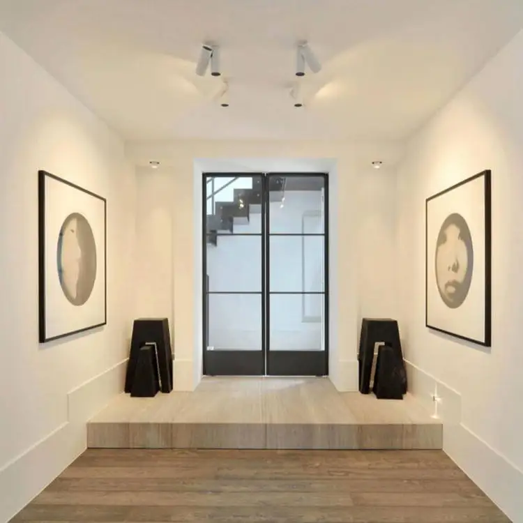 Industrial Modern Design Swing Metal Frames Steel French Door And WindowsEntrance Door Modern PivotInterior Flush Door