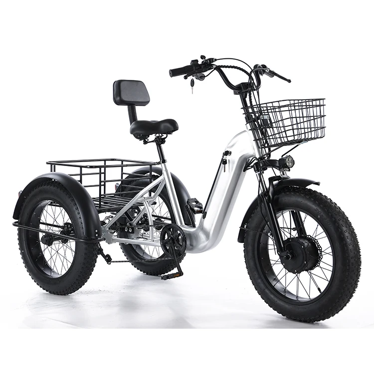 Safe and fast delivery 20 Inch  750W Motor Fat Tire 3 Wheel E Bike Tricycle  Adult Cargo Electric Bike With Basket