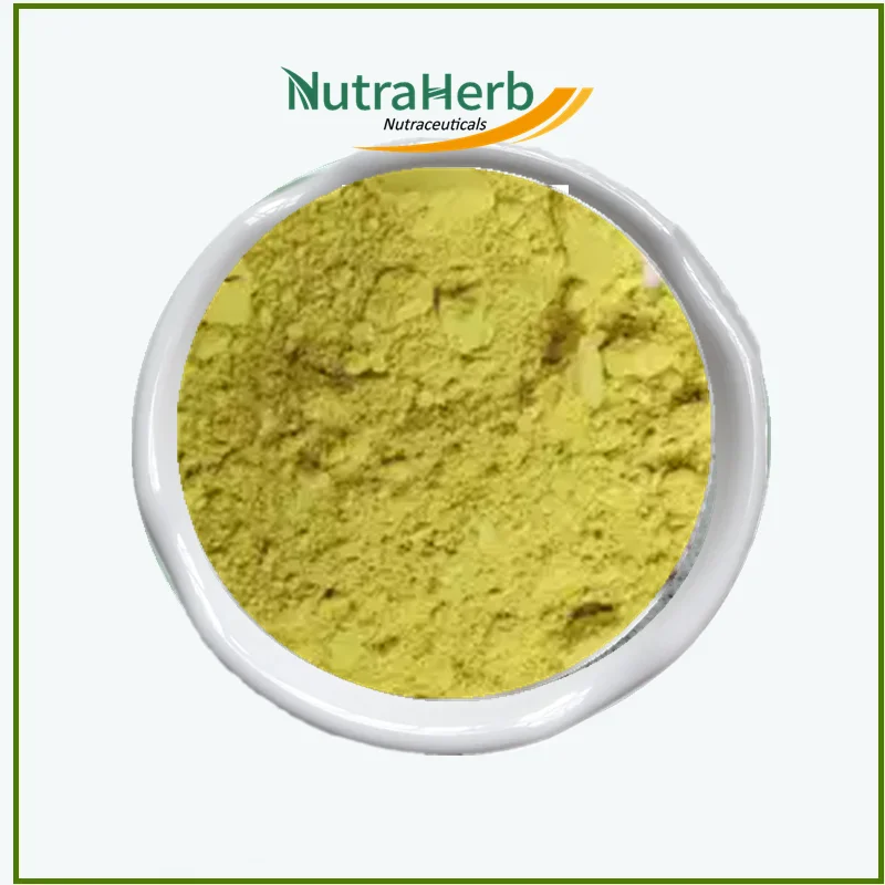 Scutellaria Baicalensis Root Extract Powder 98% Baicalin Powder