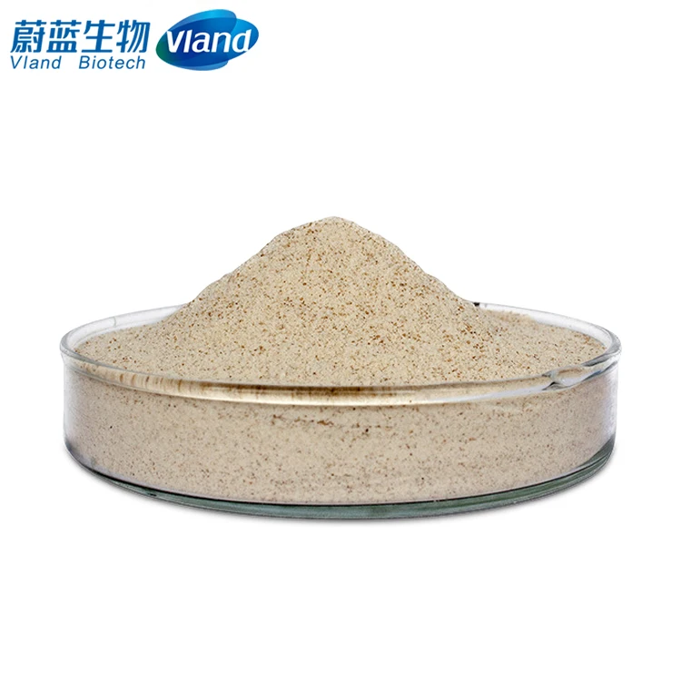 VLAND Flavourzyme High Quality Food Grade Raw Material For Food  CAS 9001-92-7