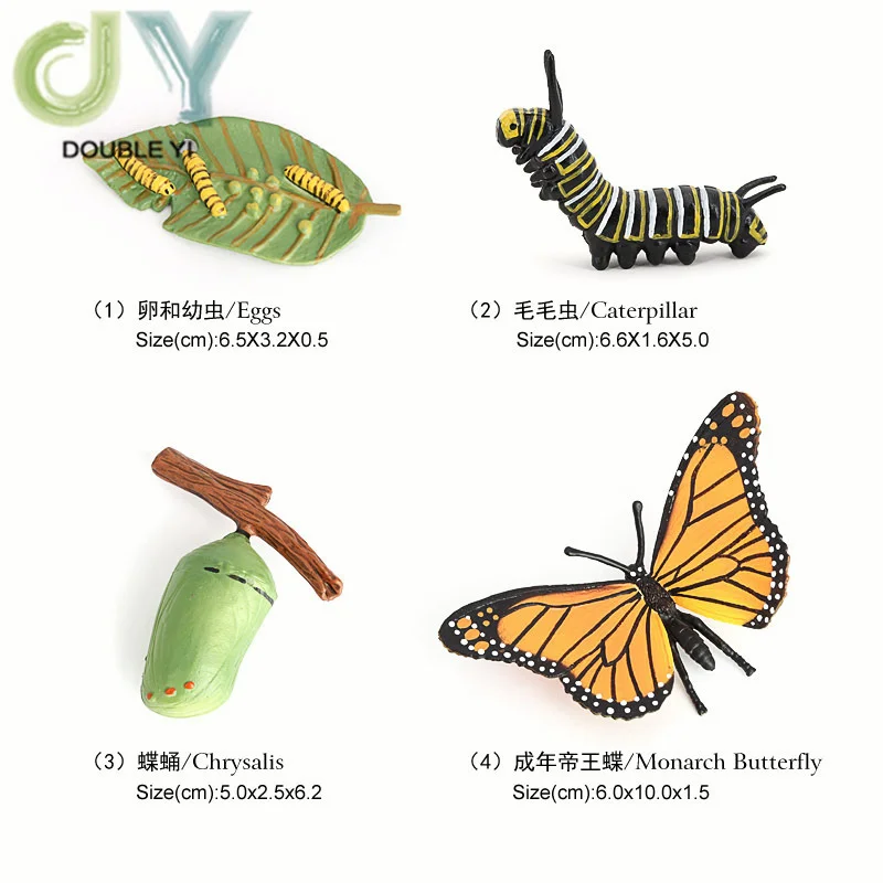 Simulated animal models insects butterflies bees frogs spiders ladybugs snails small animals growth cycle toys