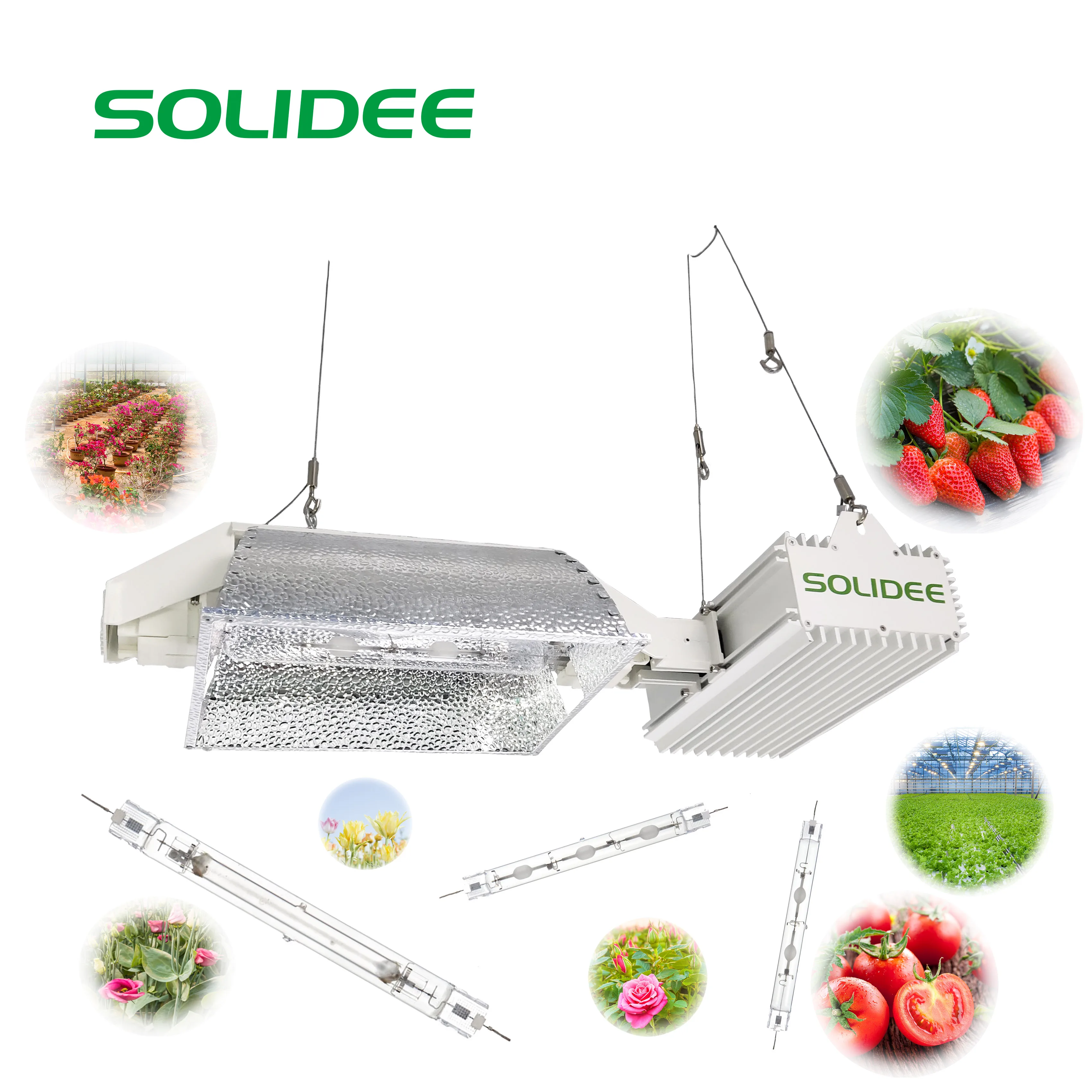 630 Вт Керамический металлогалогенный светильник cmh для выращивания растений с электронным балластом cmh для садовой палатки