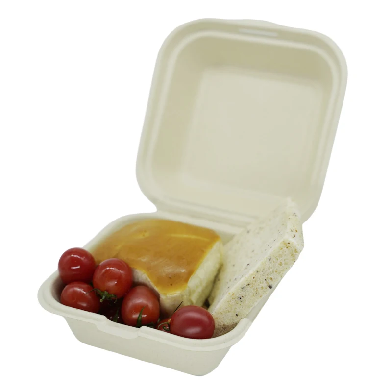 Disposable Biodegradable Lunch Container Box Sugarcane 9 inch Food Container Burger Bakery Packaging Bagasse Clamshell Box