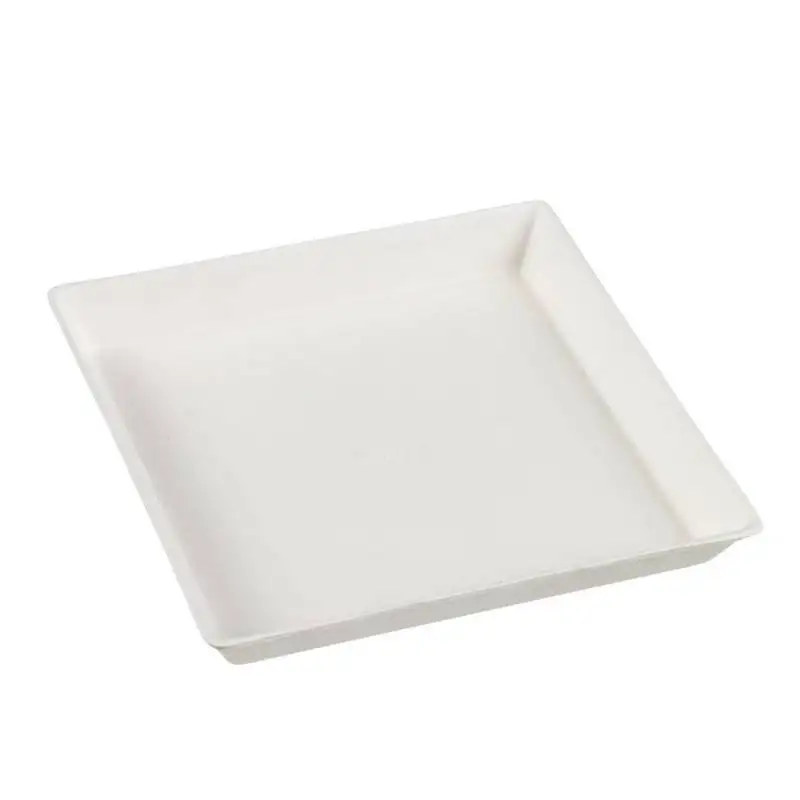 Best-selling fruit vegetable tray disposable sugarcane bagasse paper tray for cake