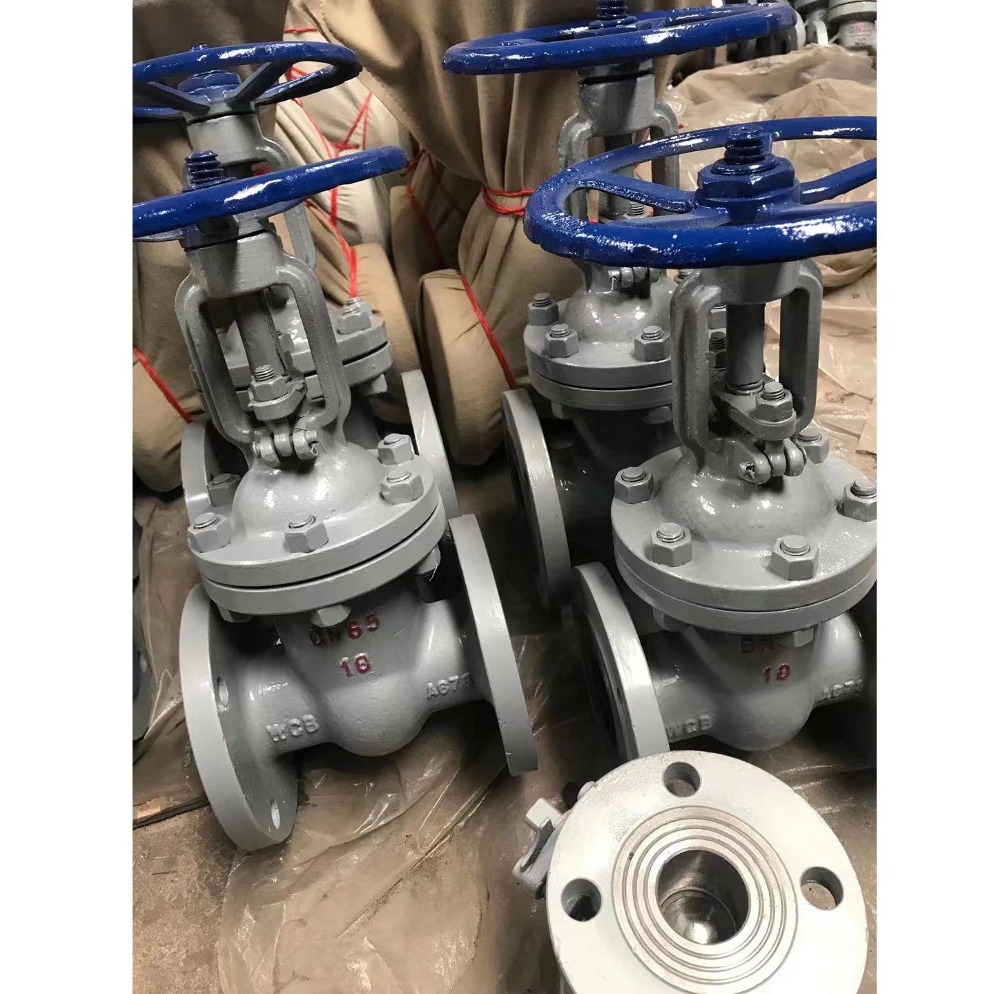 China Factory Customized Wholesale DN50-DN600 Resilient Seated Flange Type Gate Valve