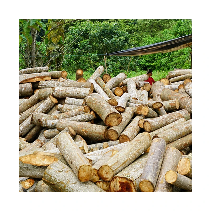 Melina wood Ecuador blocks sheets trees Unfinished Natural Round Pine Wood Tree Disc Wooden