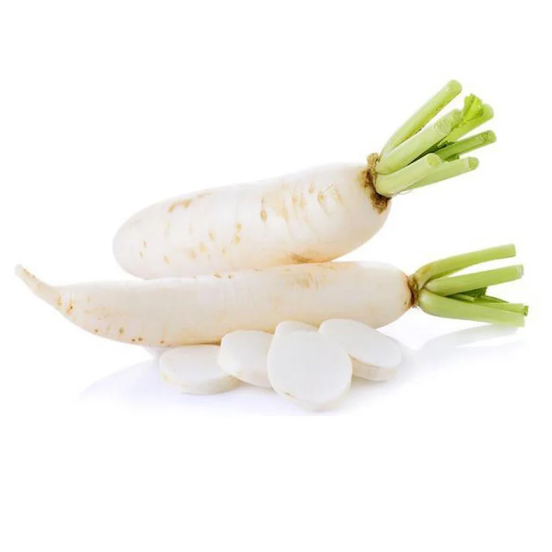 Other fresh vegetables of white daikon radish