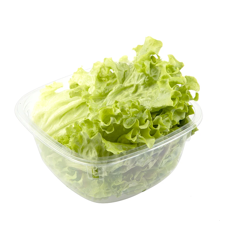 Disposable PET Plastic Blister Mushrooms Punnet Lettuce Container Fruit And Vegetable Clamshell Tray Hinged Box With Holes