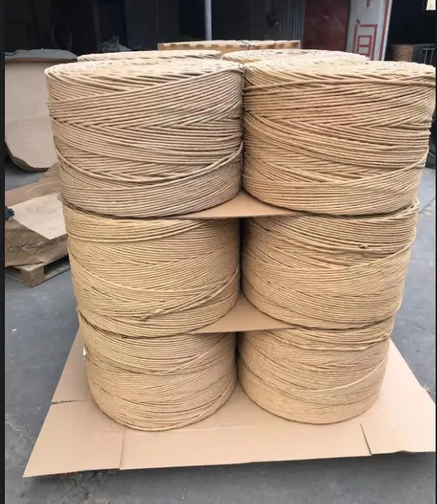 Cable Wire USA Market 5/32' 9/32' twisted paper rope filler yarn