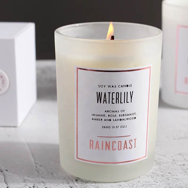 RAINCOAST Hot Selling White Glass Candle Holders for Wedding Decoration 260g Soy Wax Candles