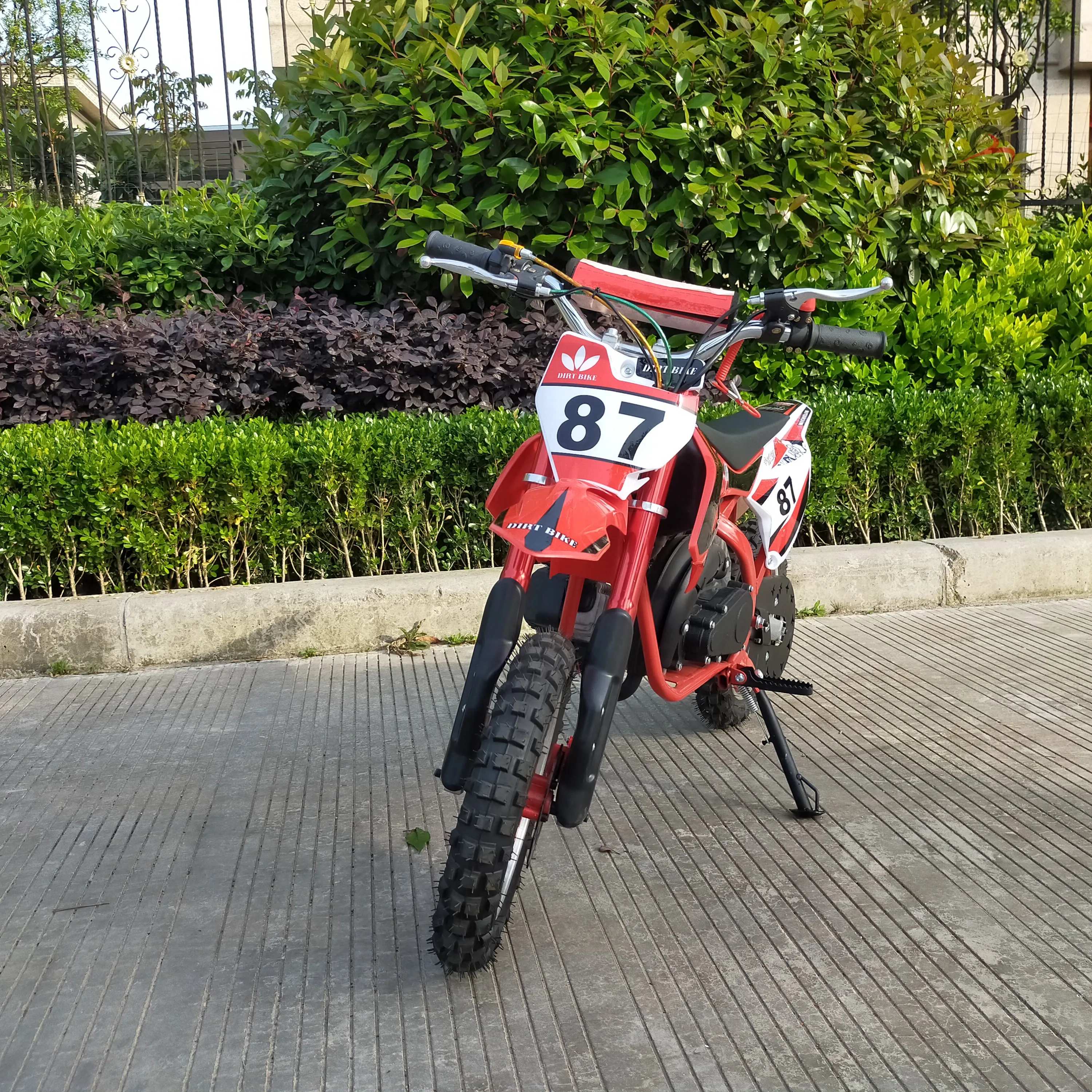 2021 CE Approved 49CC,Pull Start Mini Gas Dirt Bike for Kids