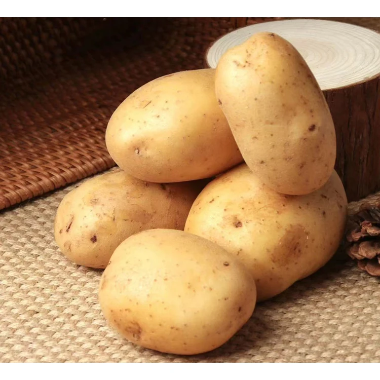 Китайский Wuchuan желтый цвет большой размер свежий картофель