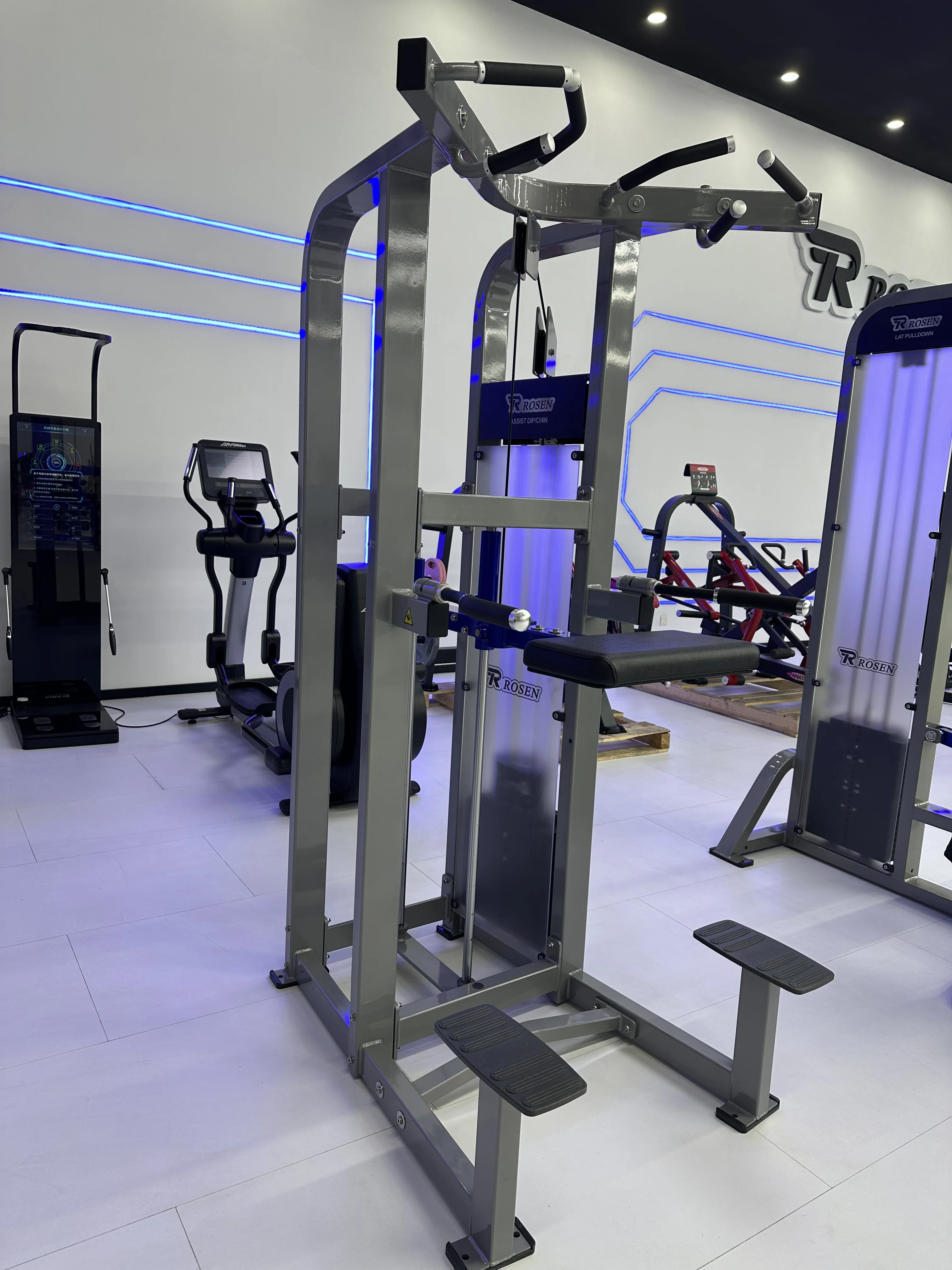 Matrix Exercise Equipment Rosen Fitness Pin Load Selection Machines Assist Dip/Chin for Bodybuilding