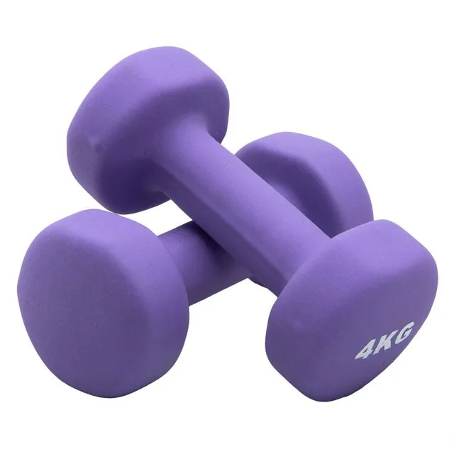 Factory Price Home used Portable Cheap Plastic adjustable dumbbell pair Neoprene vinyl Rubber cast iron Dumbbell for women