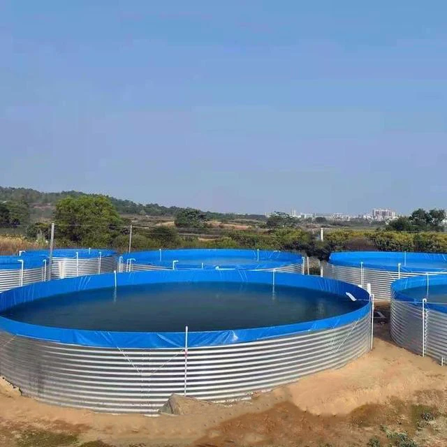 Crab Recirculating Aquaculture System Ras Aquaculture Systems Detachable Tilapia Catfish Shrimp Ras Aquaculture
