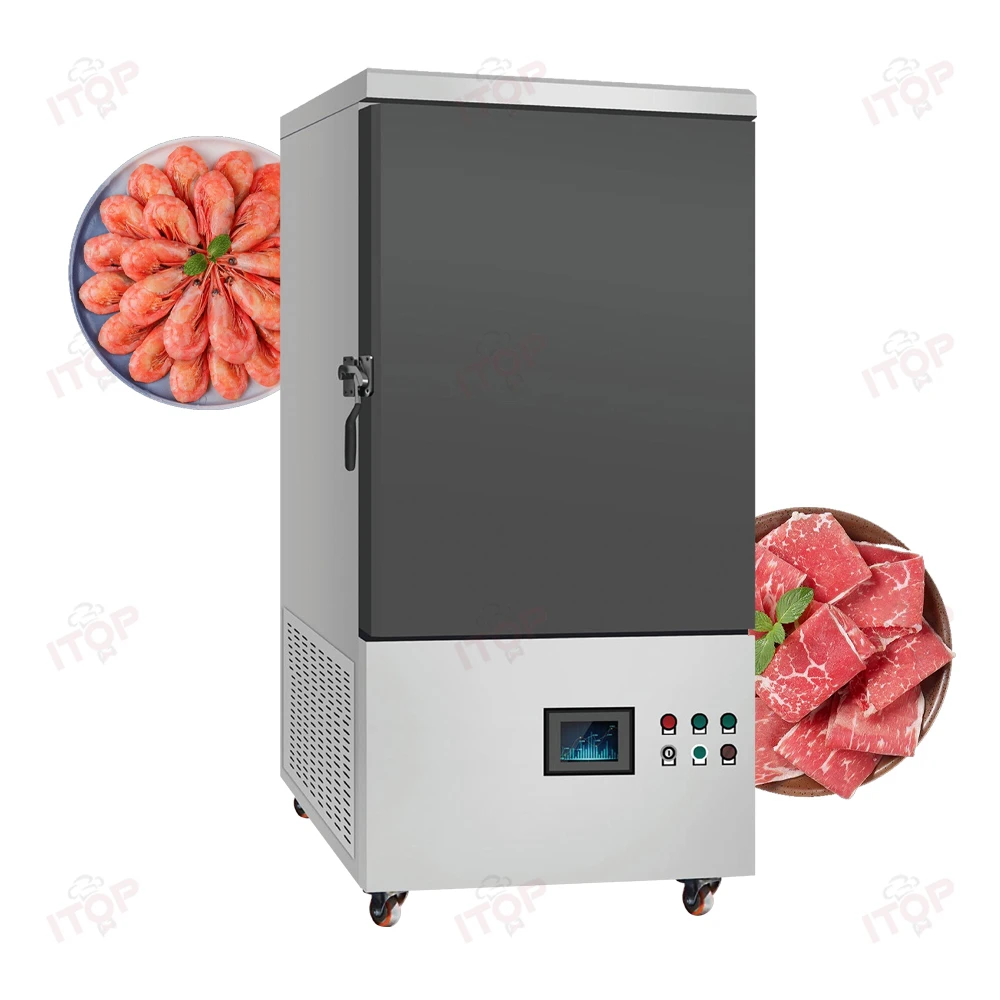 Food Processing Flash Quick Rapid High-speed Freezing Shock Freezers Blast Equipment Liquid Nitrogen Freezer