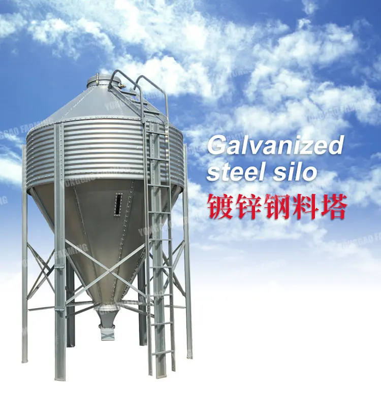 Automated Feeding System Farm Husbandry Intelligent Feeding System lead the industry golden supplier bin storage