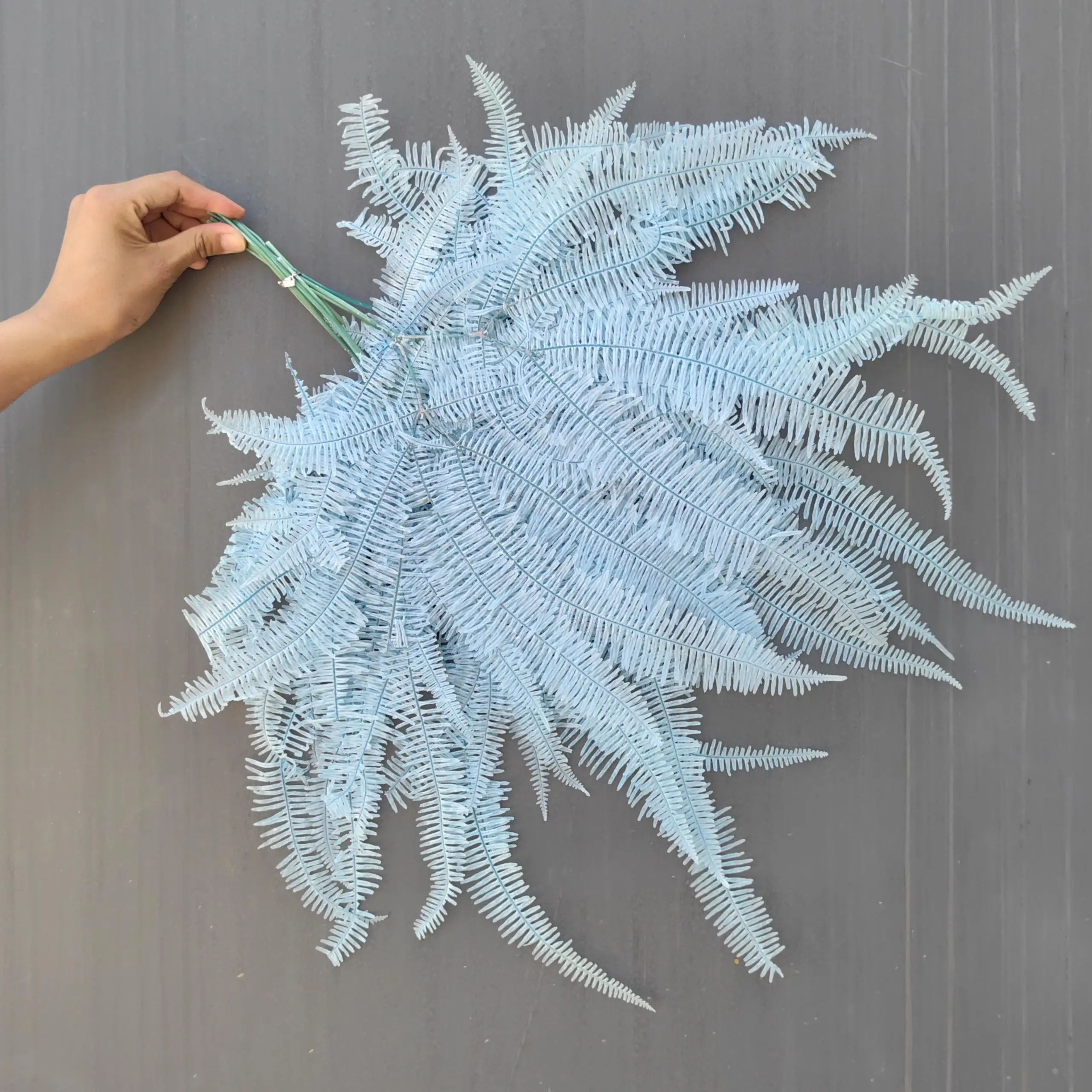 Wholesale Supply Preserved Colorful Leaves Preserved Spire Fern Leaves Fern For DIY Leaves