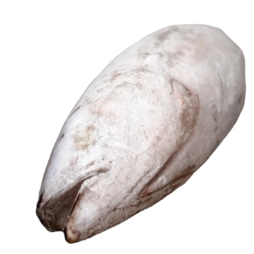 Wholesale IQF frozen Albacore for fresh seafood