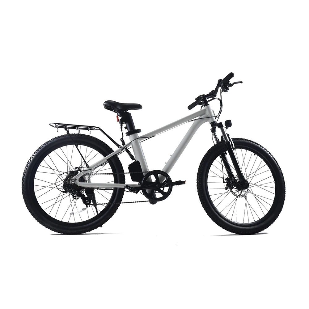 High Quality ebike Chinese Manufacturer Customized 10.4Ah Electric Bike 250W Electric Bicycle mountain Bike
