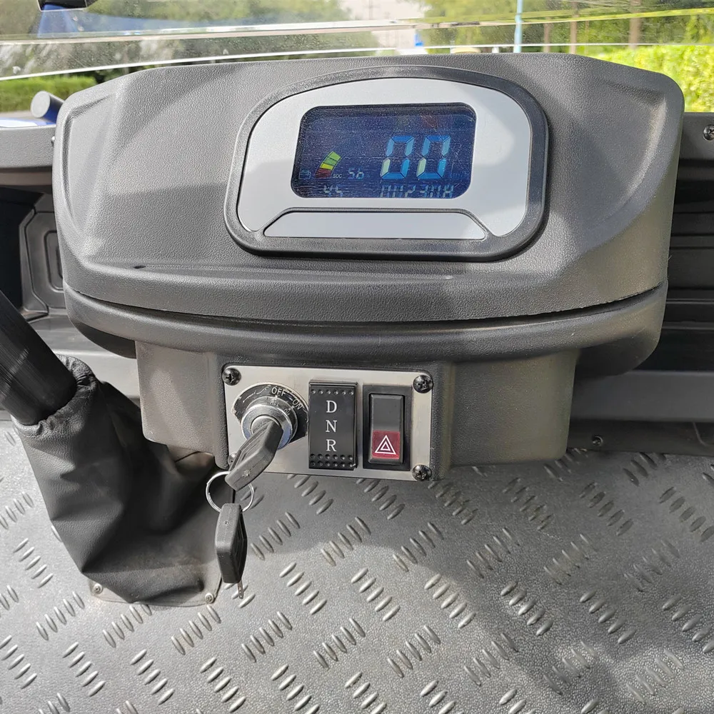 Raysince New model electric golf buggy good quality electric mini buggy electric golf