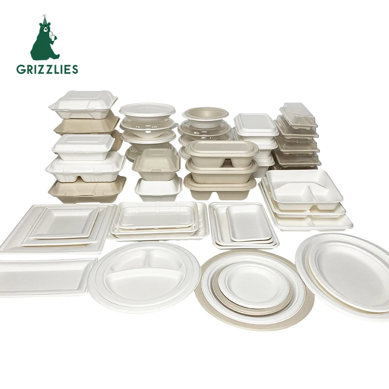 Biodegradable Rectangular Food Tray Supermarket Meat Tray Eco-Friendly Plates for Buffet and Party Bagasse School Lunch Tray