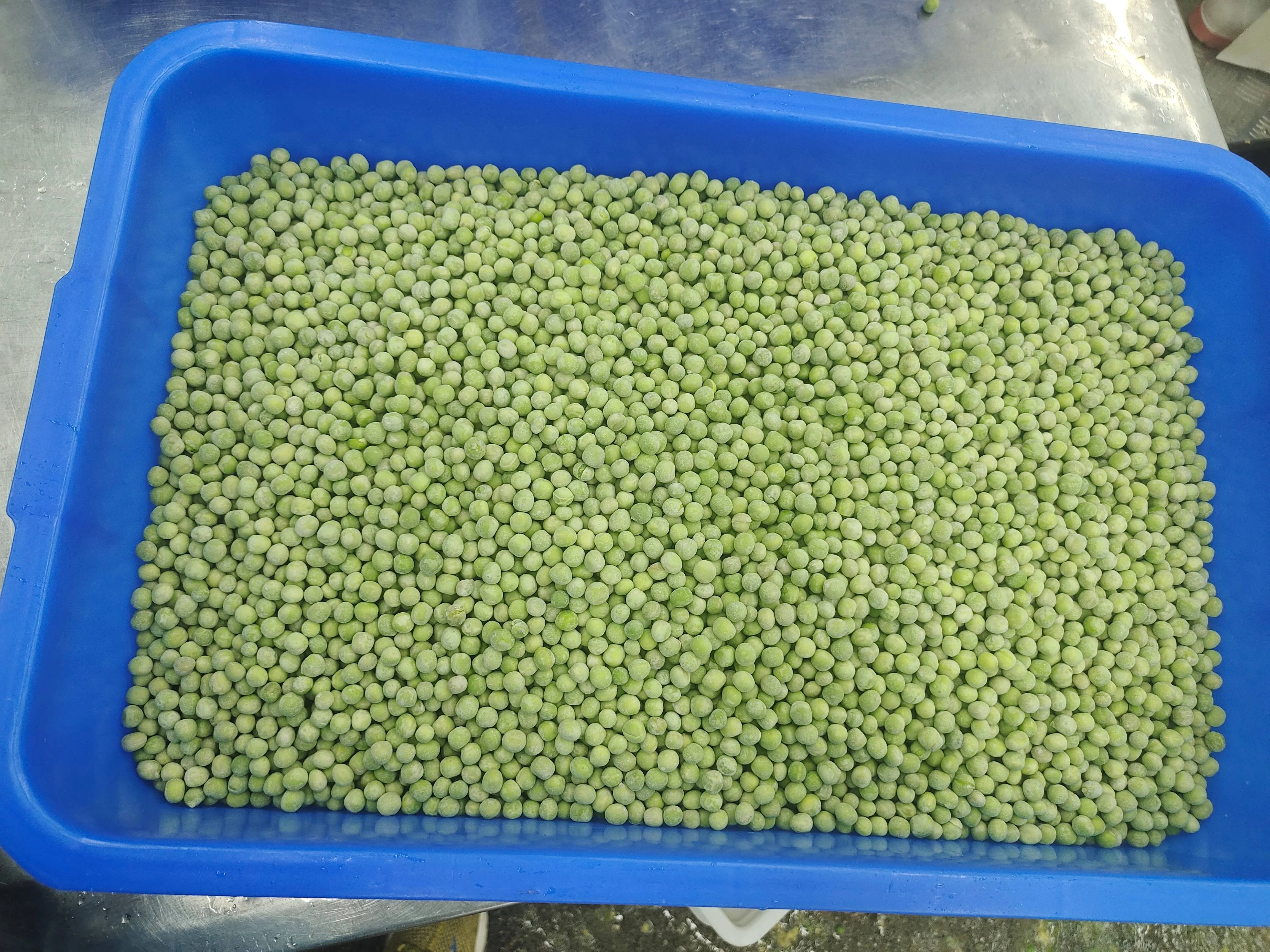 Китай HACCP BRC IQF замороженный зеленый горошек