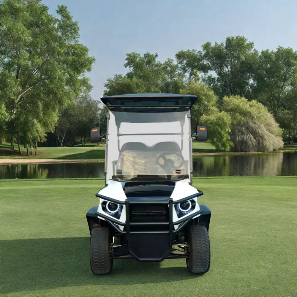 TongCai dynamic sporty enthusiastic versatile and lively four-seater electric golf buggy