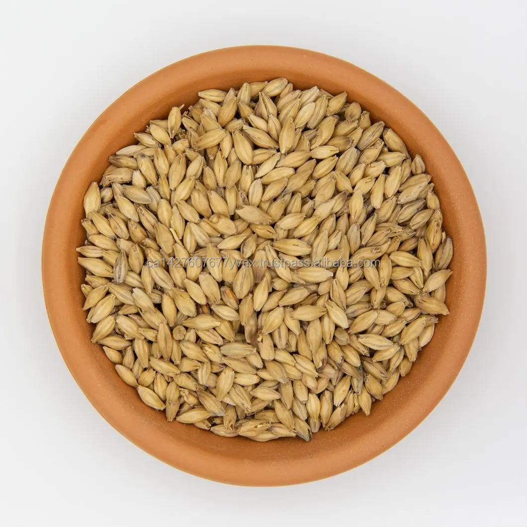 barley_530x2x.jpg