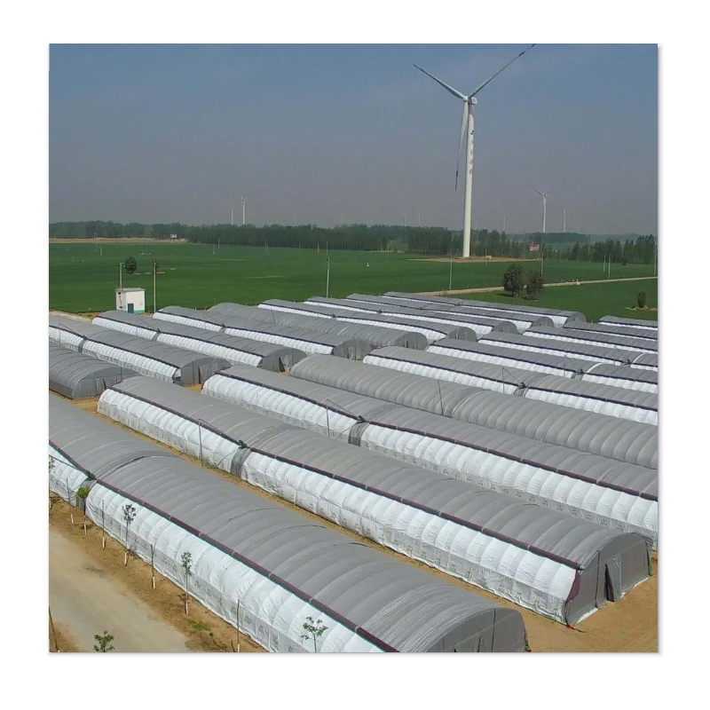 Your Trusted Source for Affordable, Durable and Wind-Resistant Greenhouses