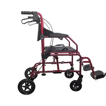 2 In 1 Transport Chair