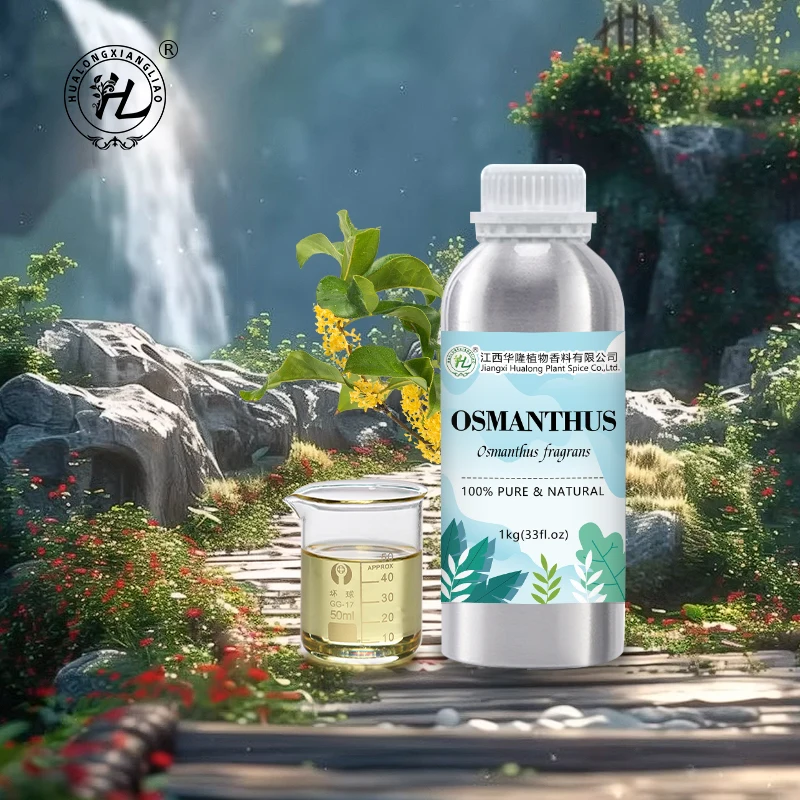 Sweet Osmanthus Essential Oil Organic - 100% Pure Natural Fragrans Flower Extract Therapeutic Grade | Bulk Price 1kg