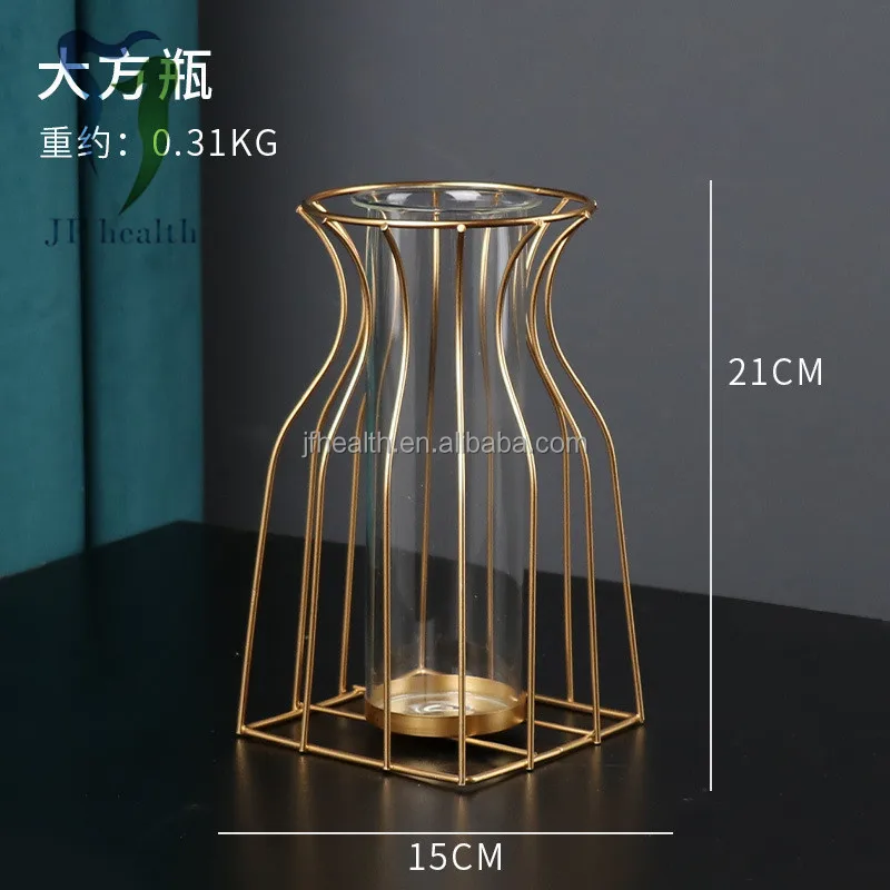 Simple wrought iron geometric vase ornaments home decoration transparent glass dried flower flower arrangement vase