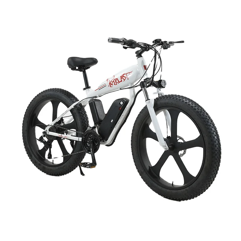 Cheap Wholesale 26 inch 750W 48v Fat Tire Electric Mountain Snow Bike Power Motor Electric Bicycle(old) 21 Speed City e Bikes