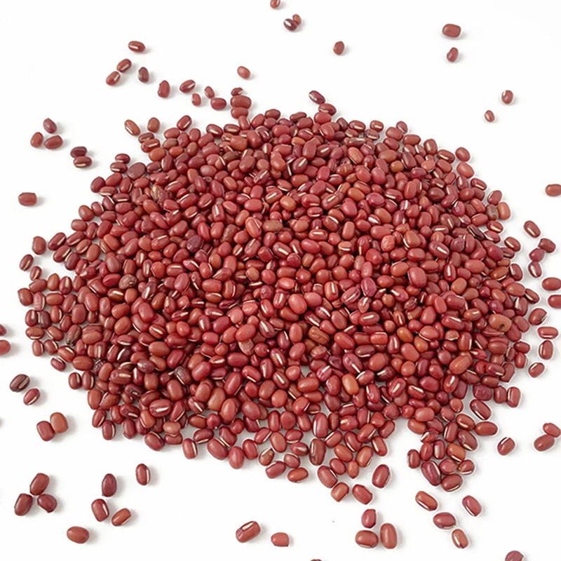 Red kidney beans High quality Low price factory Red  beans for sale