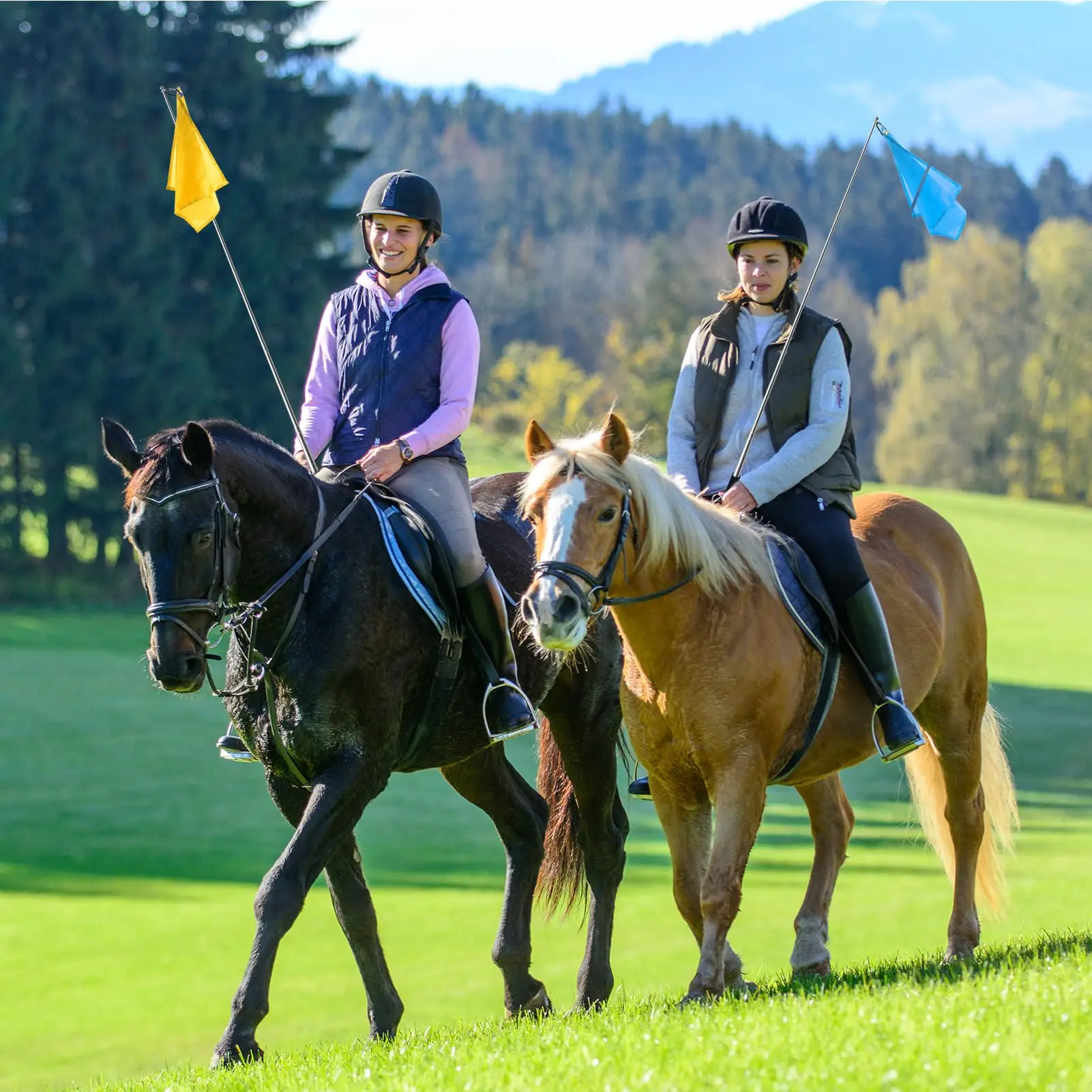 Wholesale High Quality Horse Equipment Custom Horse Training Flag Equestrian Training Flag with Telescopic Flagpole