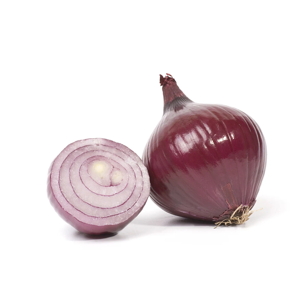 New crop Fresh Yellow Onion red onion export from china