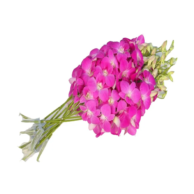 
 Тайские орхидеи, вырезанные цветы, королева, розовый, оптовая продажа  