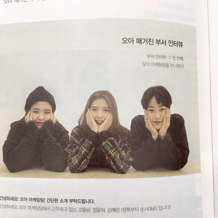 Factory Custom Instruction Manual/Catalogue/Booklet/Leaflet/Flyers/Poster/Brochure Printing