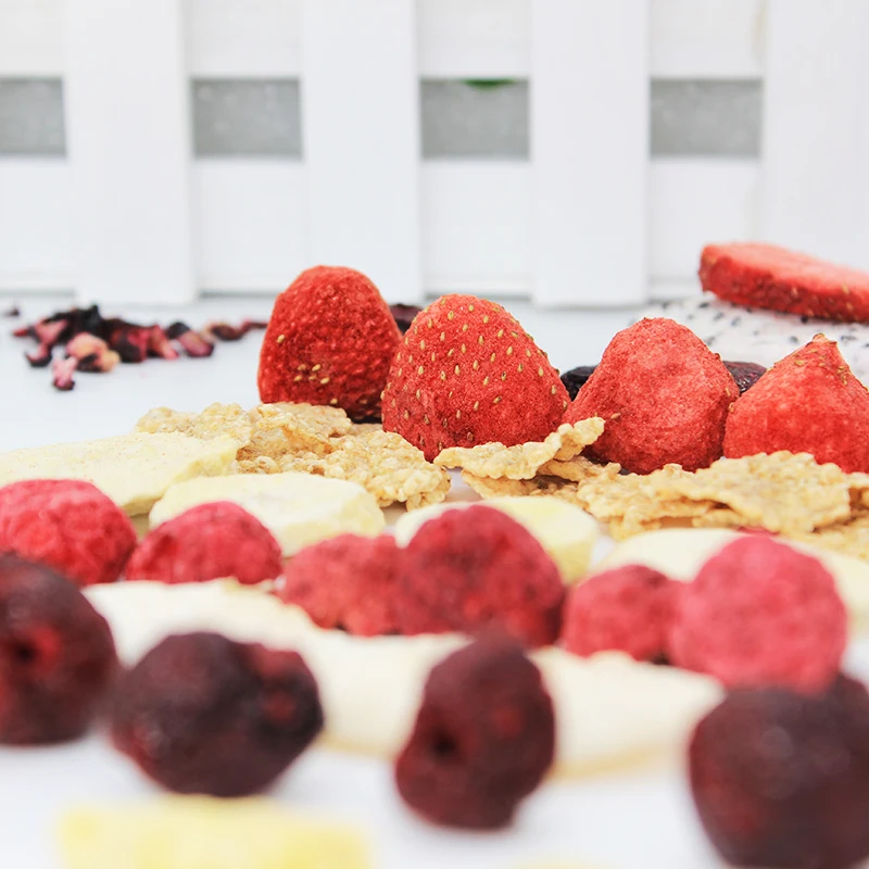 TTN Wholesale Healthy Snacks Freeze Dried Mixed Berries Food  Fruit Bulk