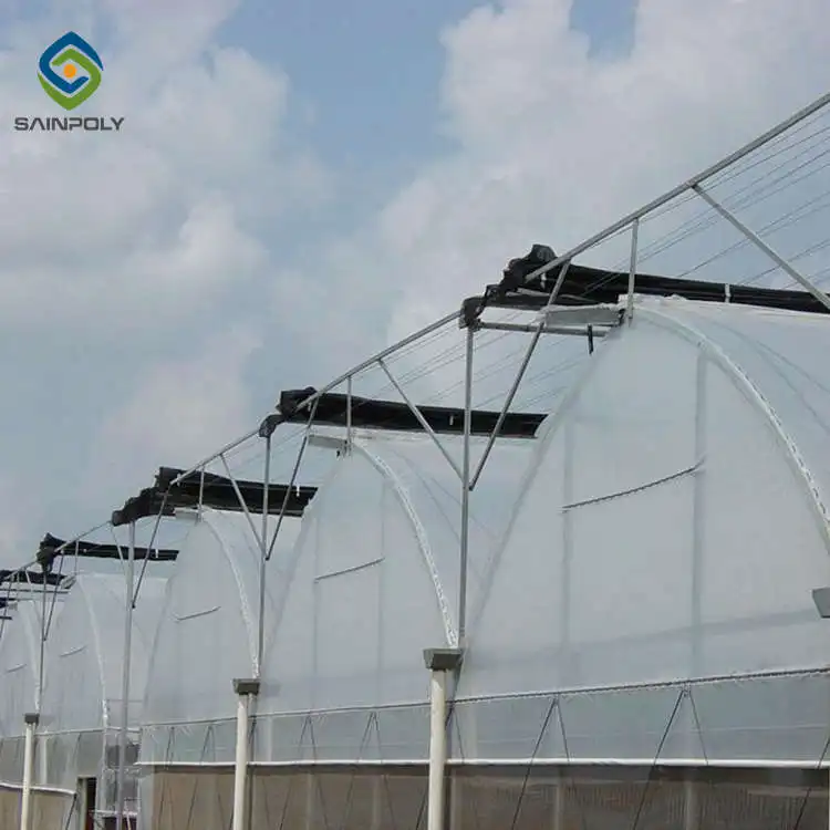 Professional Large Multi functional Agriculture Multi-Span Tomato Hydroponics Tunnel Film Greenhouse