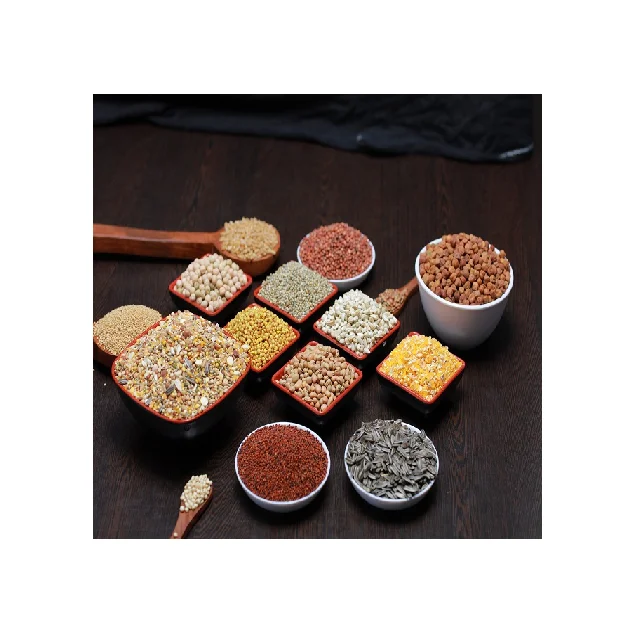 Pigeon Seed Mix Food for Birds Experie nc ed Manufacturers from India Worldwide Export Custom Service Included